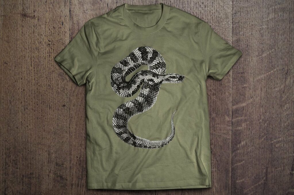 Snake Clipart Vintage 8 x 10 Inch File – MasterBundles