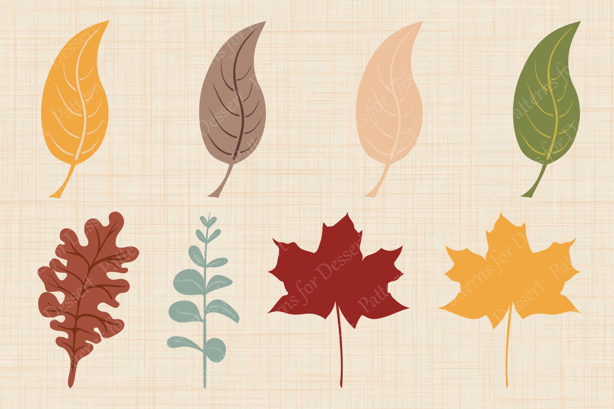 Autumn leaves collection.