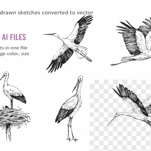 Stork Vector Clipart | Master Bundles