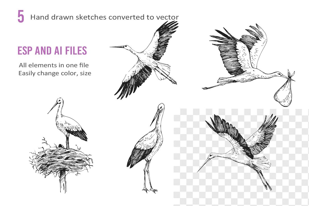There are 5 hand drawn sketches converted to vector.