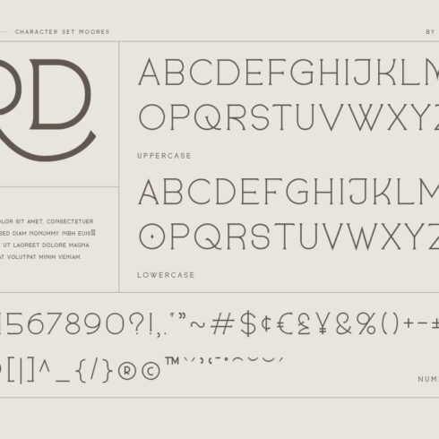 Moores Modern Serif Business Font | MasterBundles