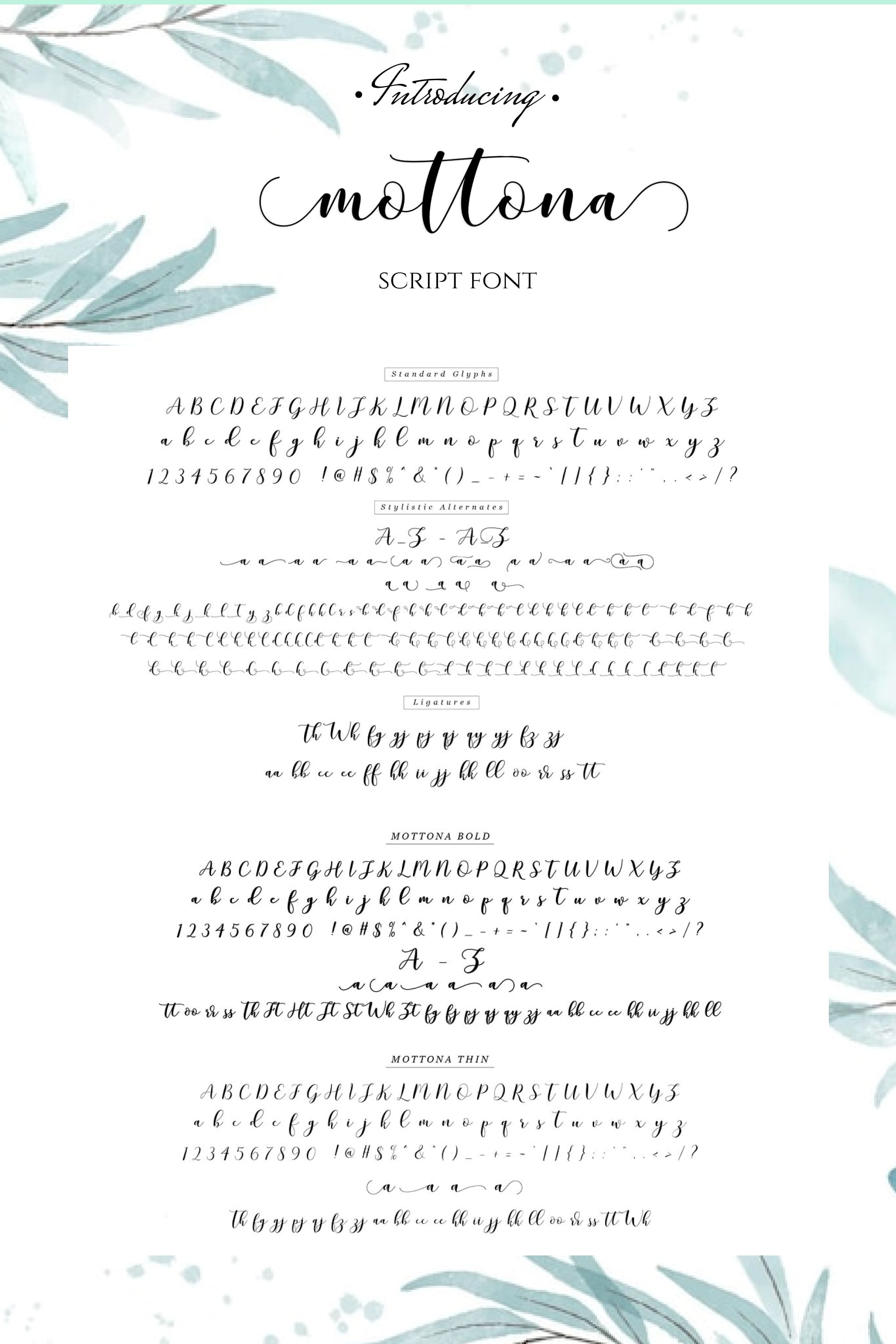 mottona script font pinterest