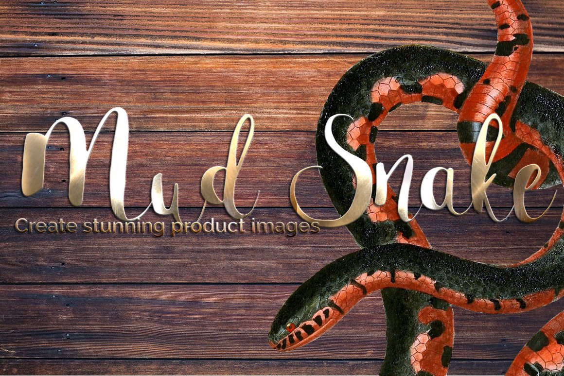 Exquisite image of bright mud snake on wooden background.