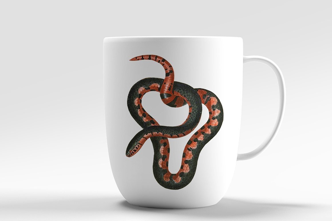 Snow-white cup with colorful images mud snake.