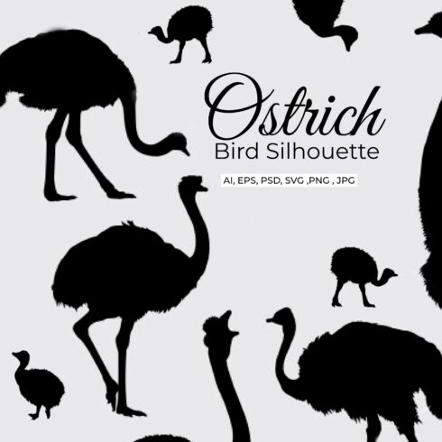 Ostrich bird silhouette.