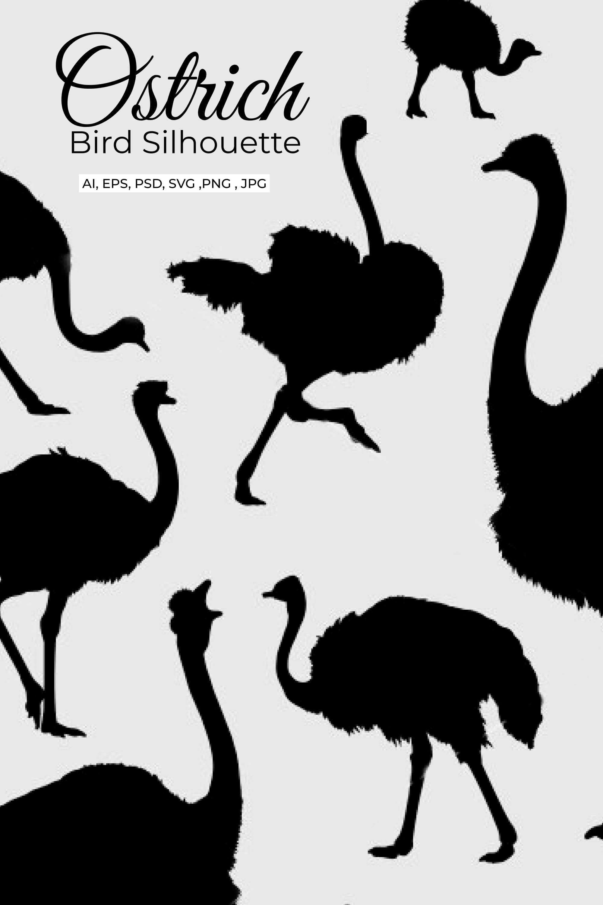 ostrich bird silhouette pinterest min
