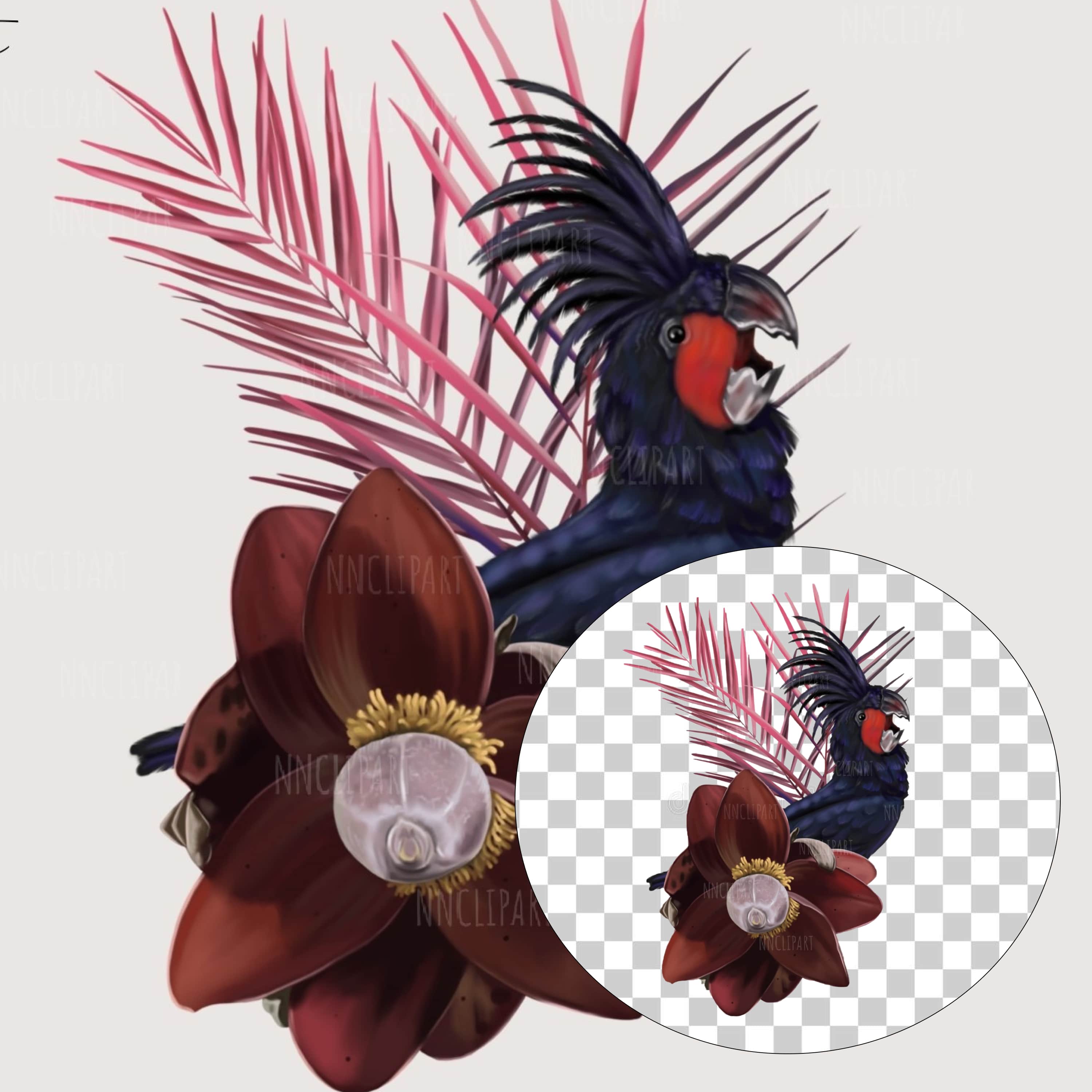 Palm cockatoo Parrot, Watercolor bouquet clipart cover.
