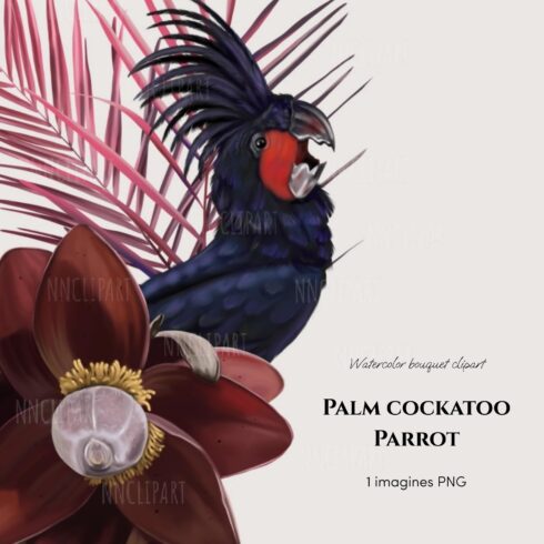 Palm cockatoo Parrot, Watercolor bouquet clipart.