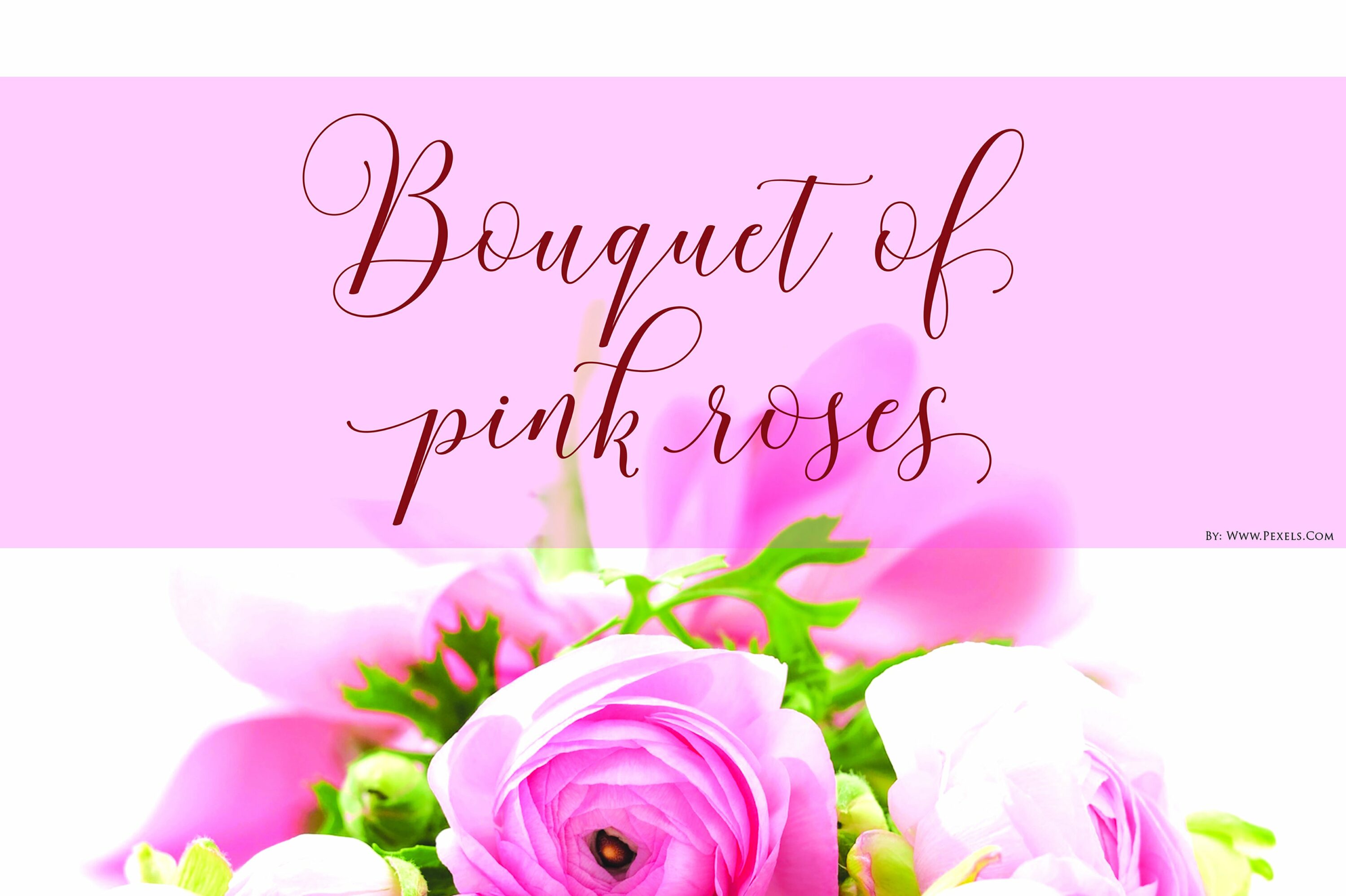 Pink illustration with roses and romantic font.