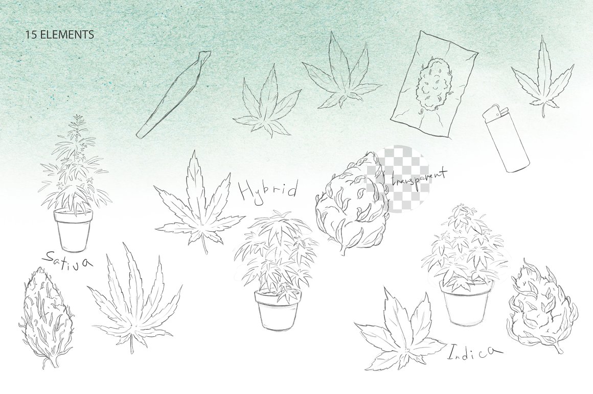 15 elements Pencil Drawn Cannabis.