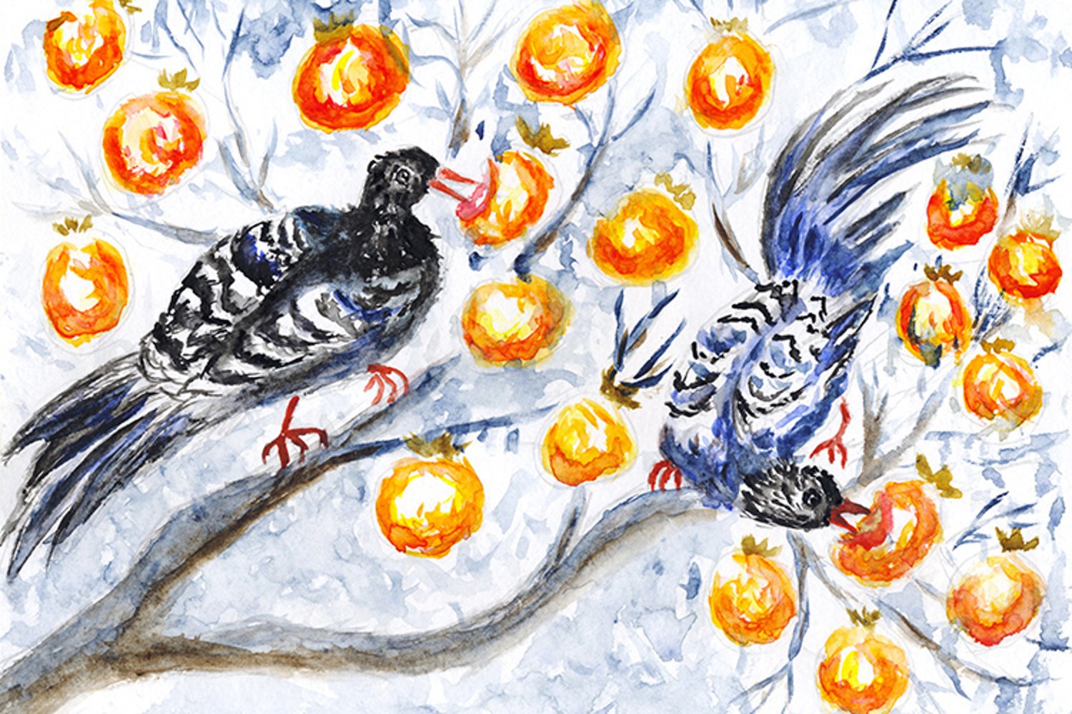Cover image of Persimmon and magpie drawing.