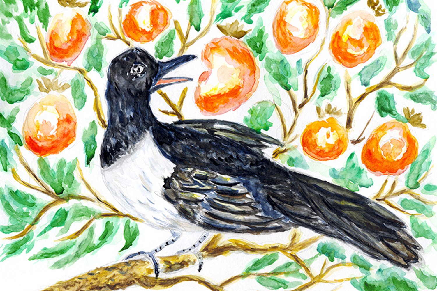 Persimmon and magpie drawing Created By AnnArtshock.