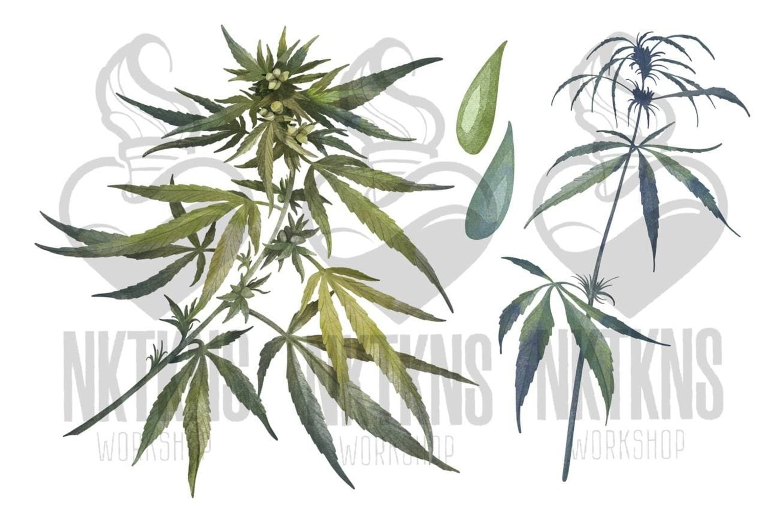 Cannabis leaves and products watercolor clipart set.