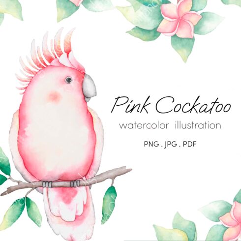 Pink Cockatoo Tropical watercolor Bird Sublimation Design.
