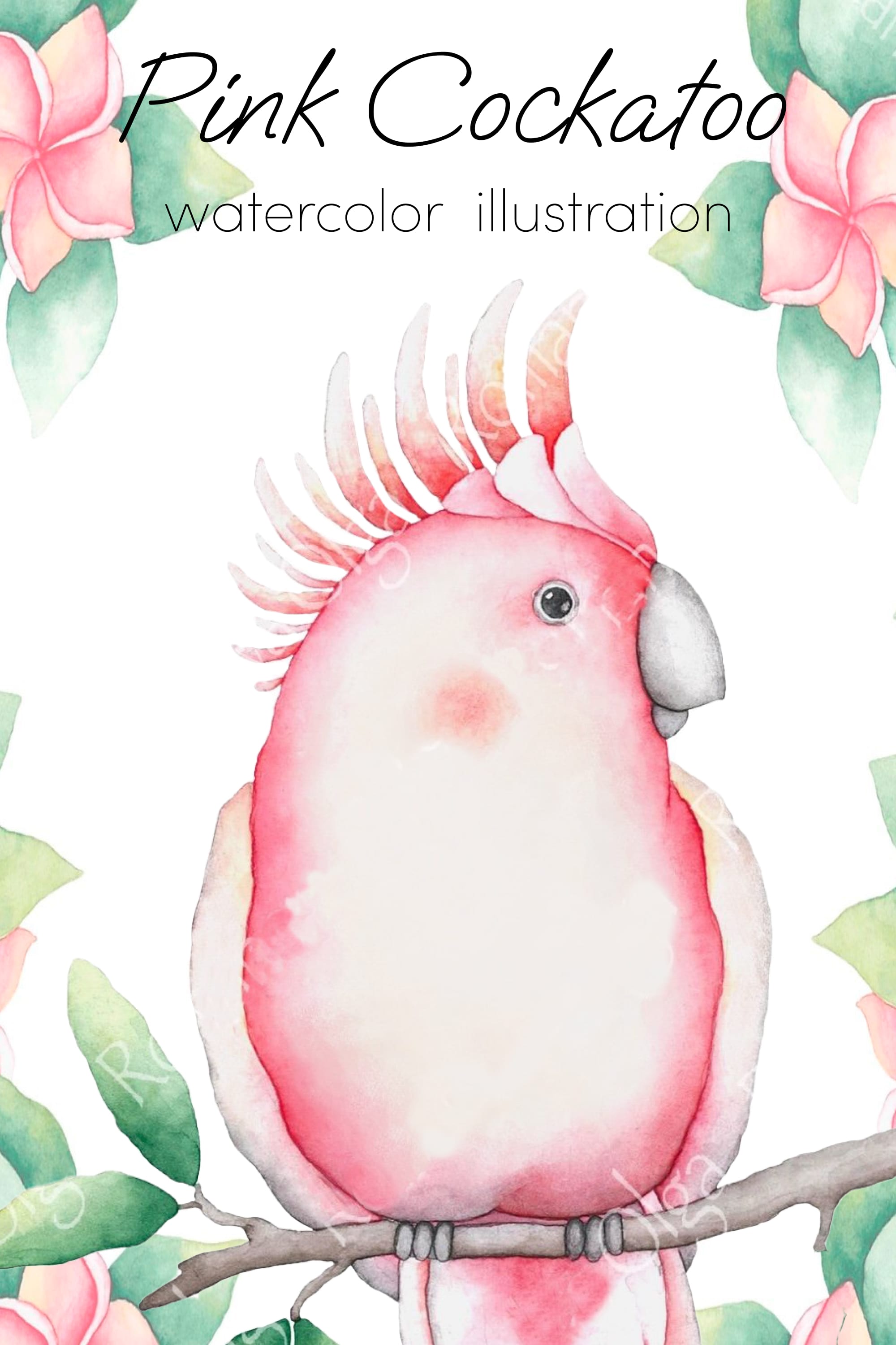 pink cockatoo tropical watercolor bird sublimation design pinterest min