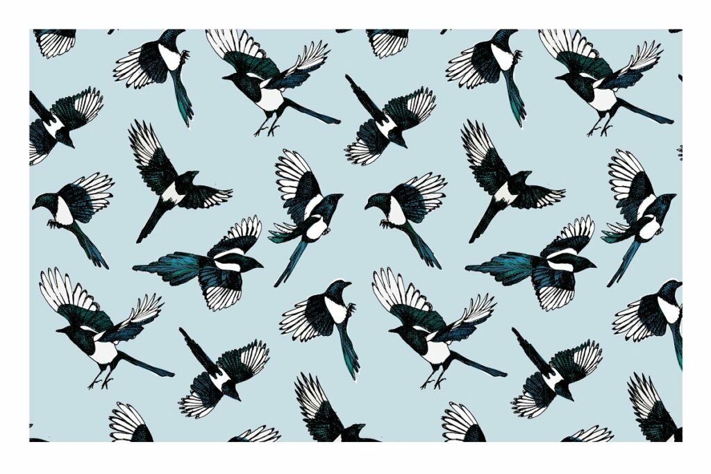 Magpie Clipart & Patterns – MasterBundles