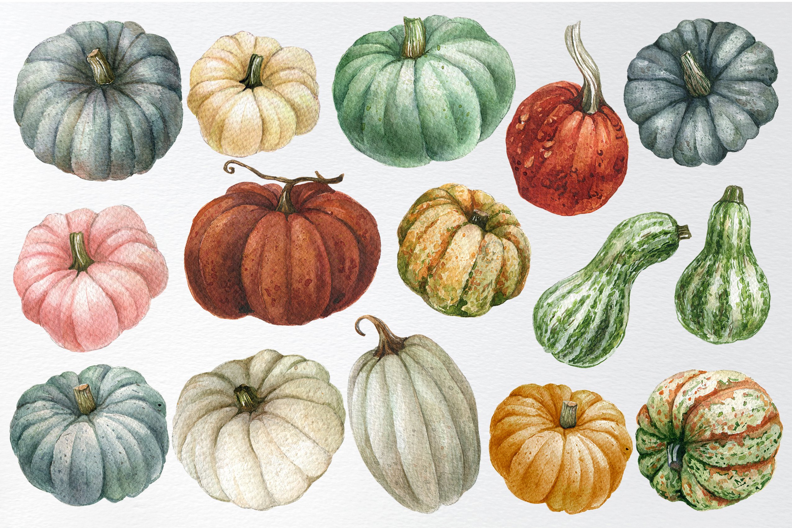 Various of pumpkins in the different shapes and colors.