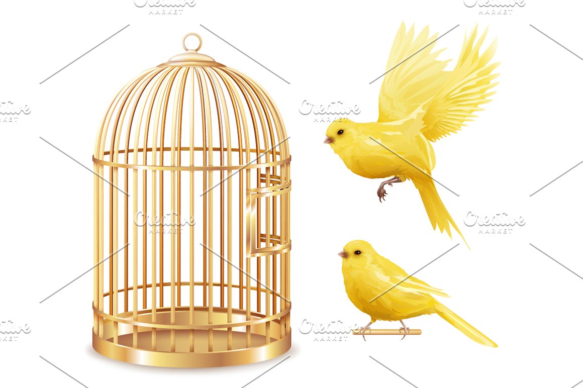 Gold cage for birds.