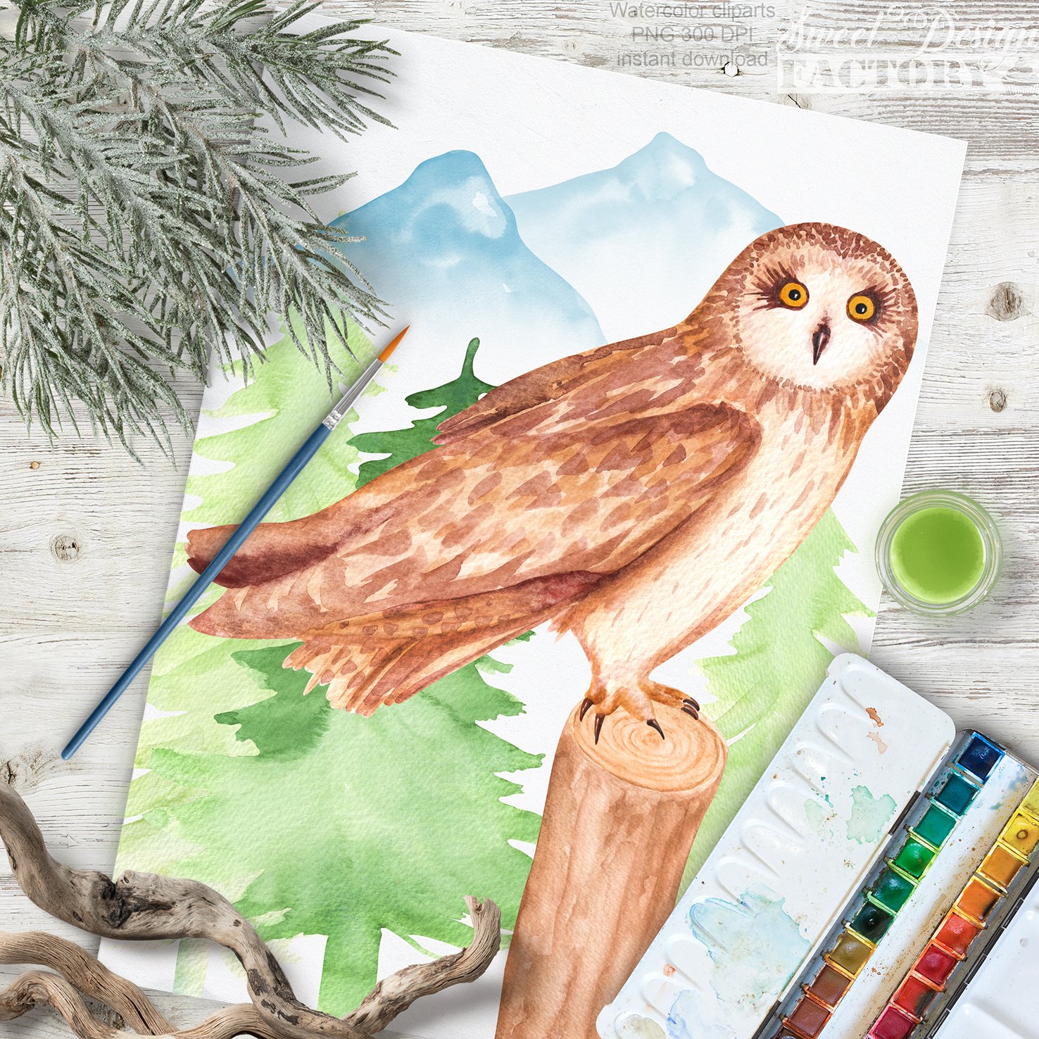 Watercolor wise owl.