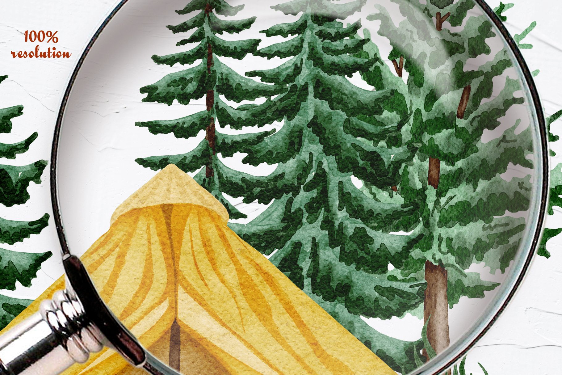 Trees and camping tent in details.