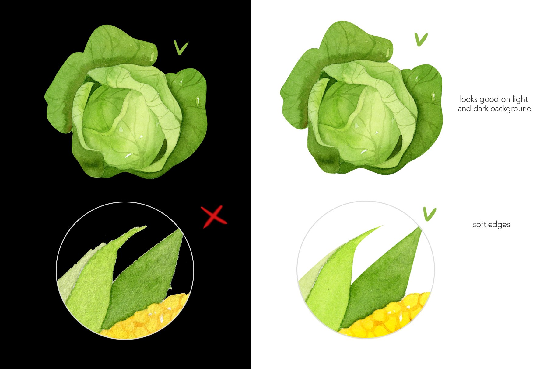 Dark and light background versions with a lettuce.