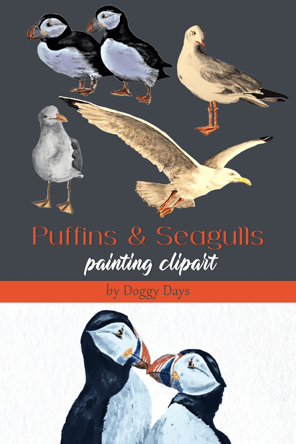 puffins seagulls painting clipart pinterest