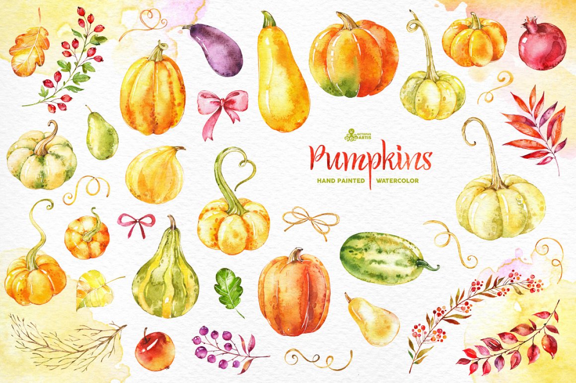 Colorful pumpkins collection with delicate elements.