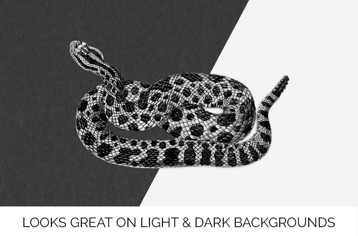 Charming rattlesnakes on a black and white background.