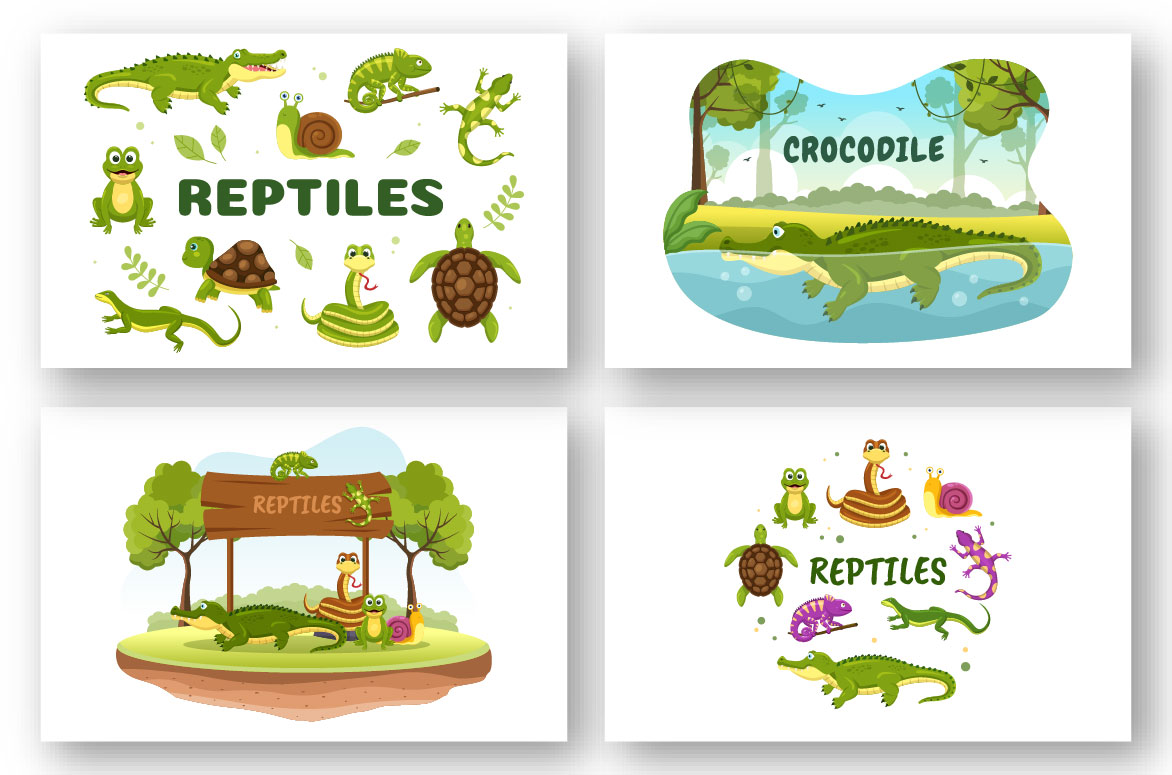 10 Set of Animal Reptile Illustration collection.