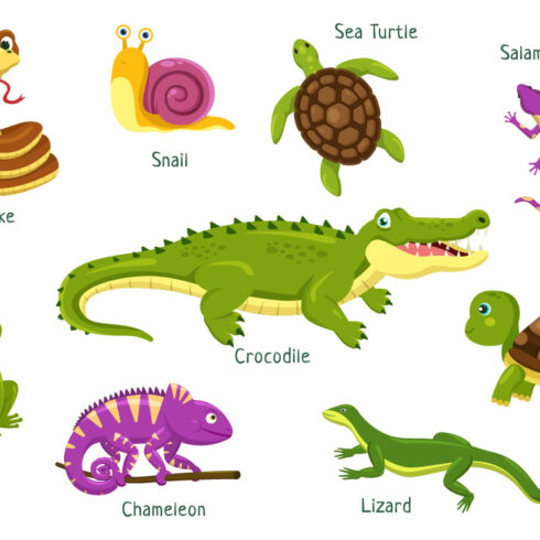 10 Set of Animal Reptile Illustration | MasterBundles