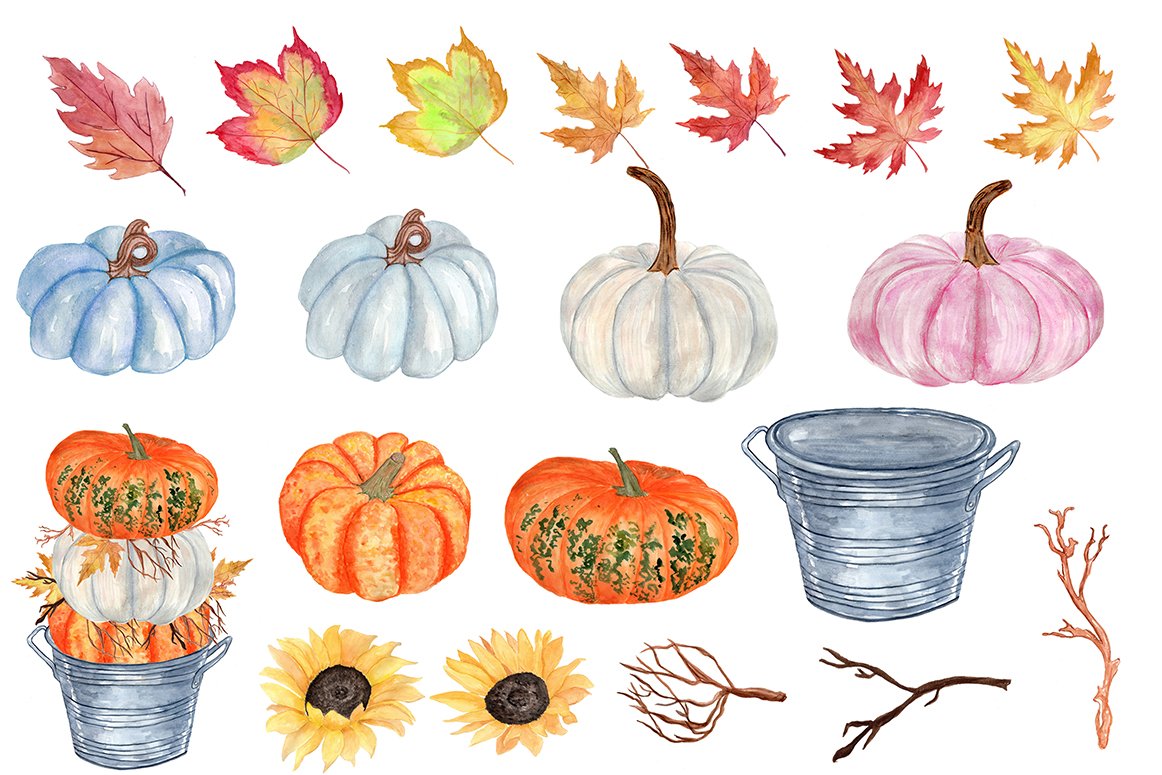 Diverse of pumpkins and leaves.