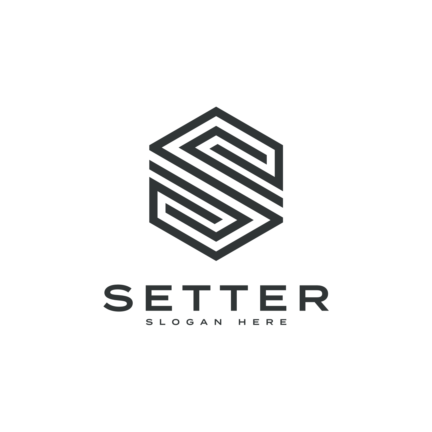 Initial Letter S Logo Vector Design Line Style cover image.