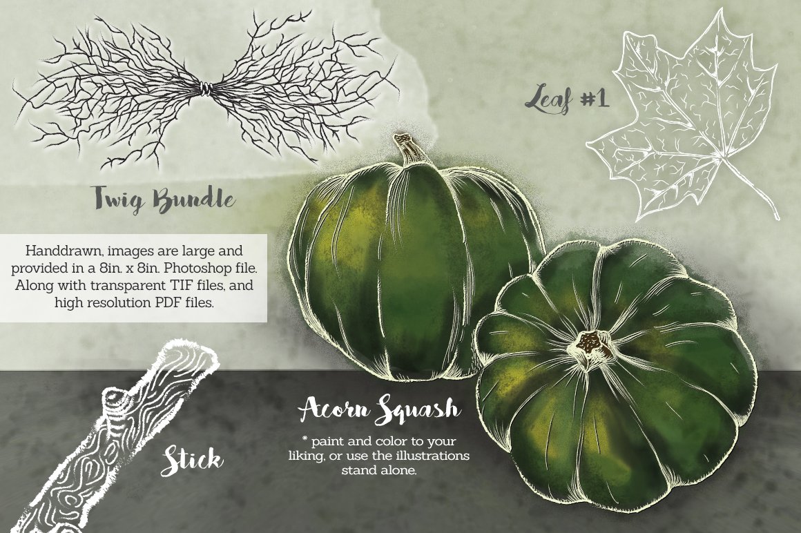 Magic green pumpkin with a white border.