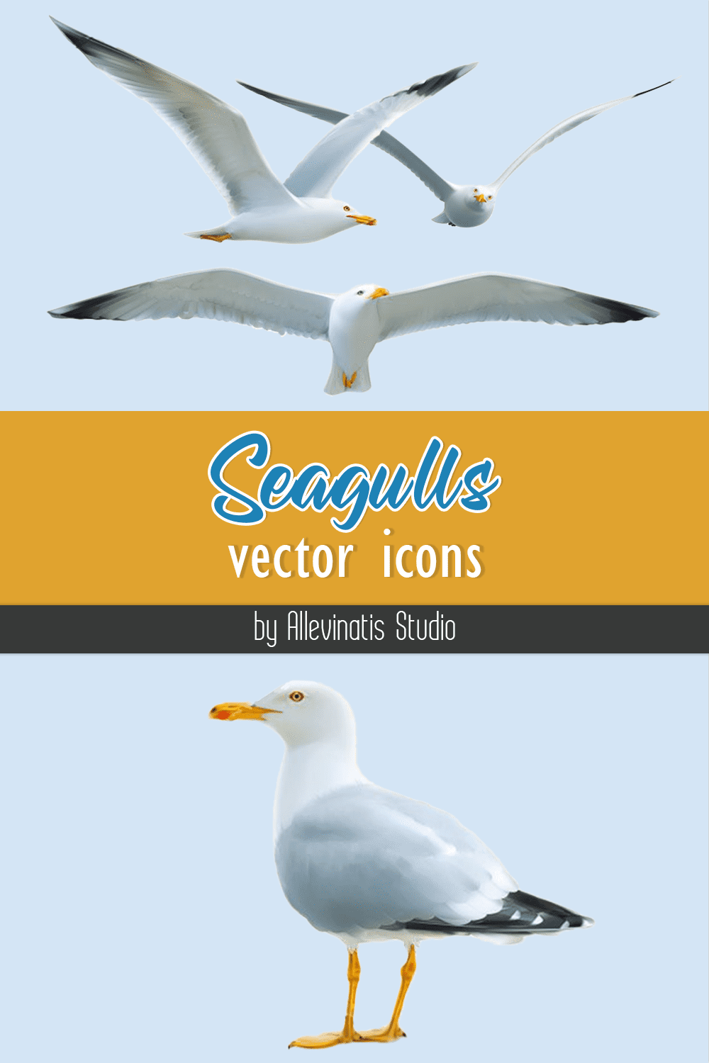 seagulls vector icons pinterest