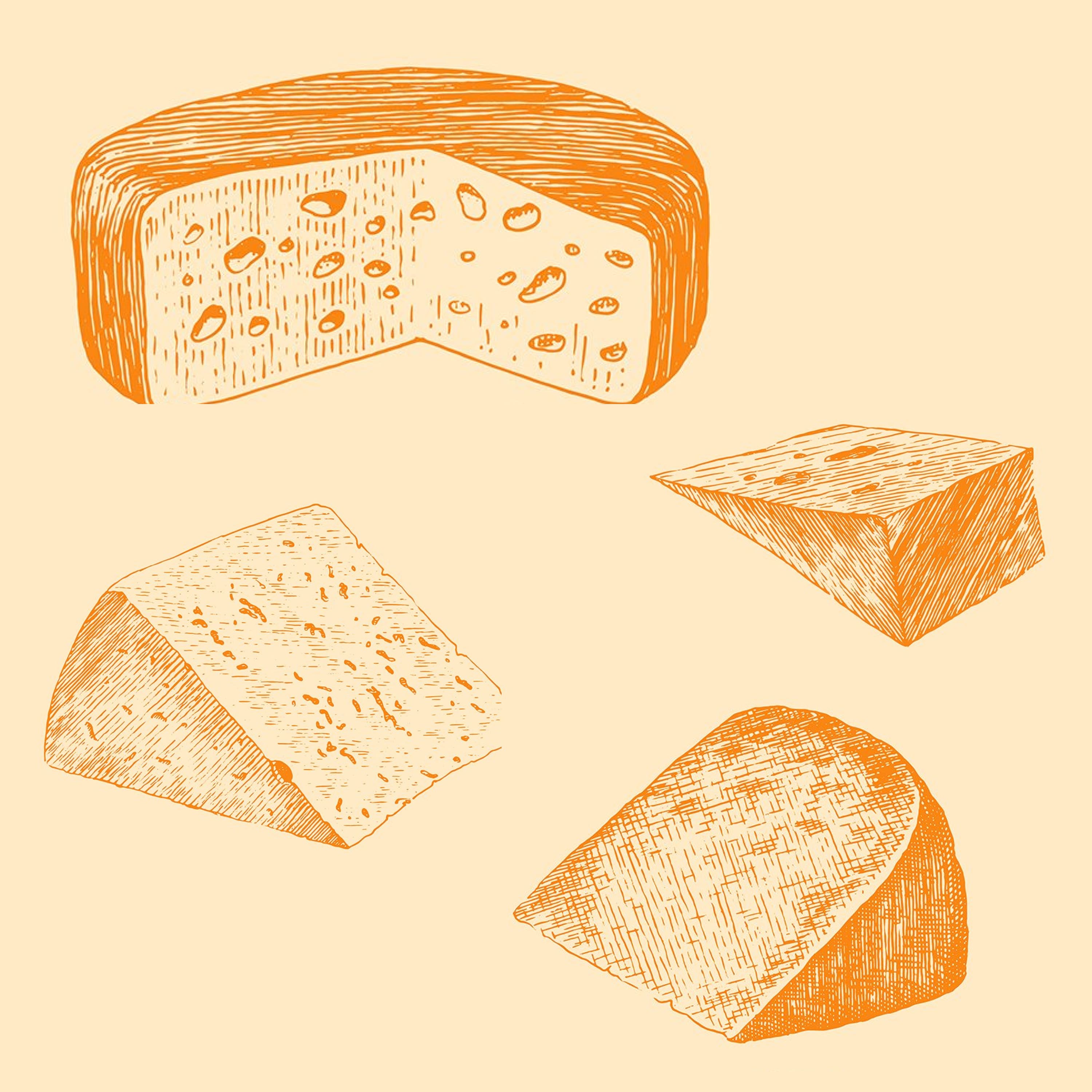 Set of colorful images of hard cheese.