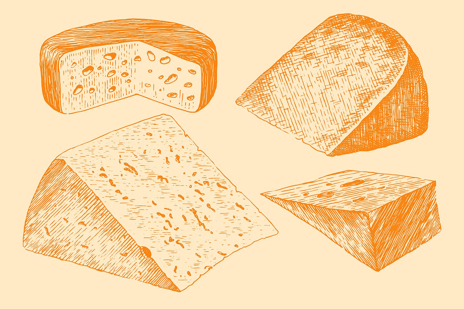 Colorful hand-drawn image of a head and slices of hard cheese on an orange background.