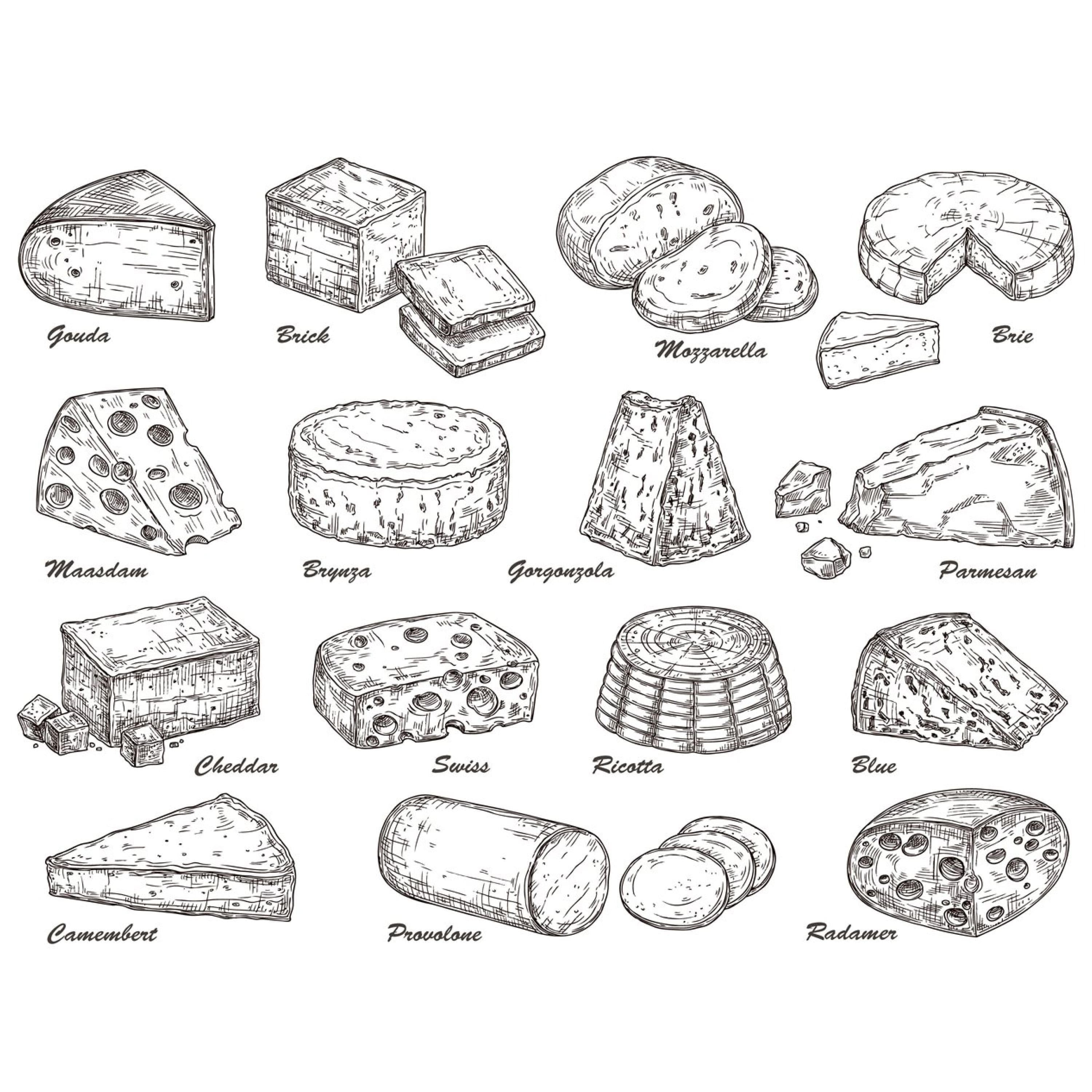 Gorgeous image of various types of holland cheeses