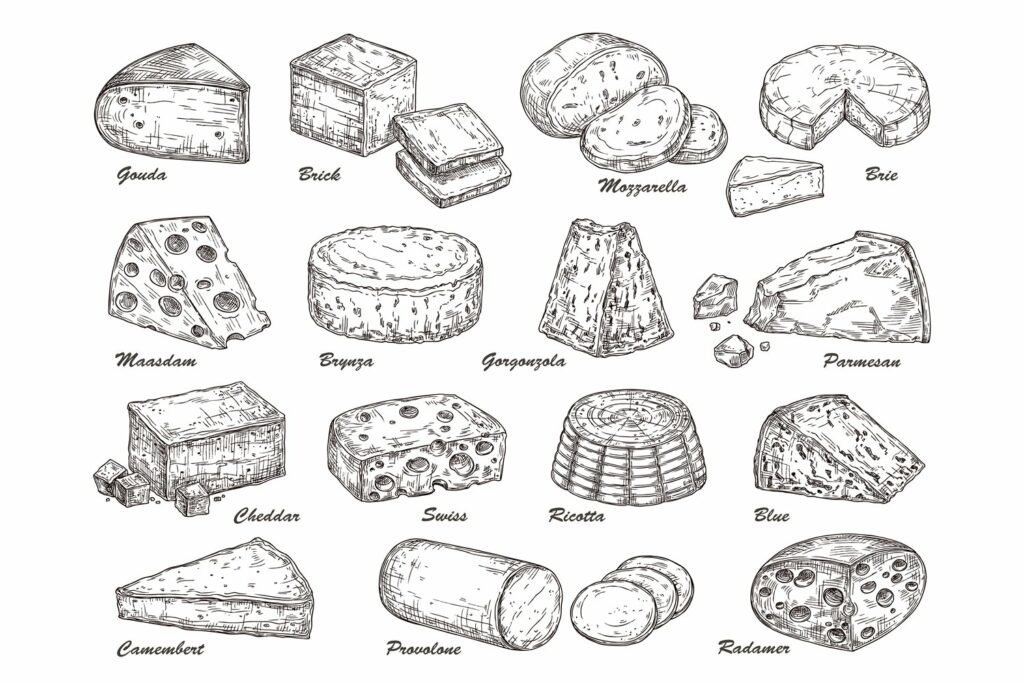 Sketch Cheese. Hand Drawn Product, Holland Tasty Dairy Cuisi ...