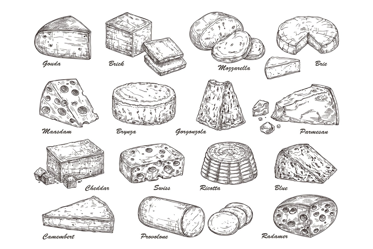 A set of adorable hand-drawn images of hard cheeses.