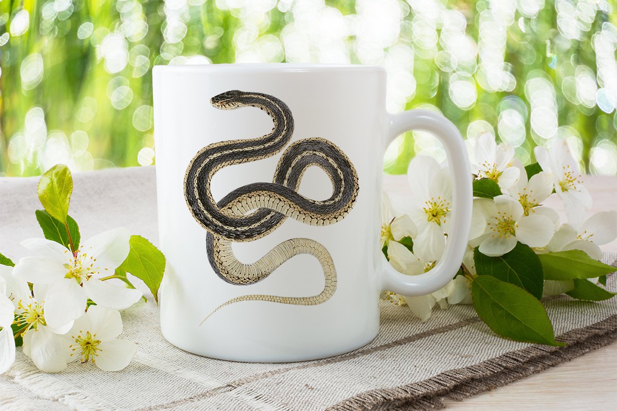 Sticker with images of a snake on the cup.