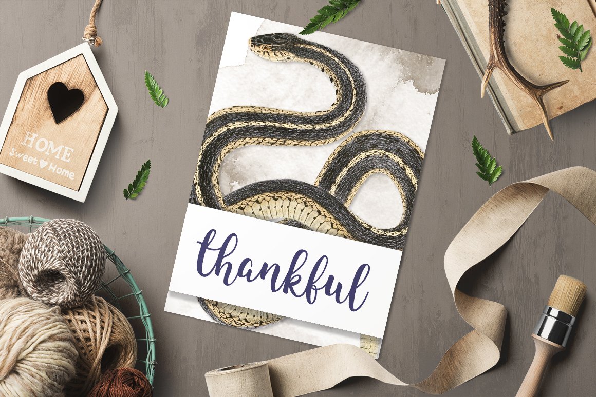 Greeting card with large snake.