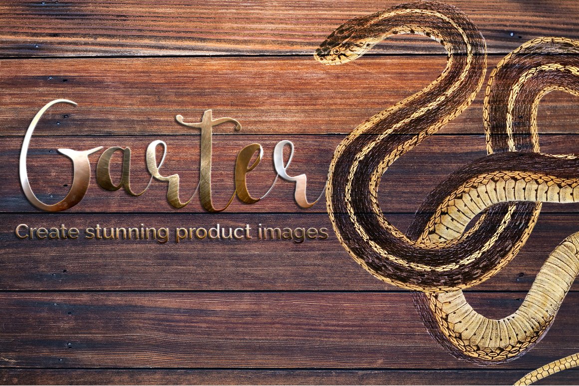 Large bicolor snake on a wooden background.