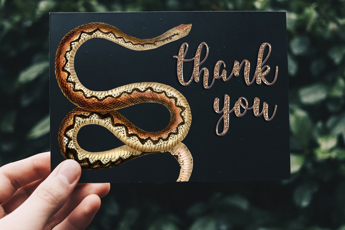 Charity card with the image of a large wild snake.