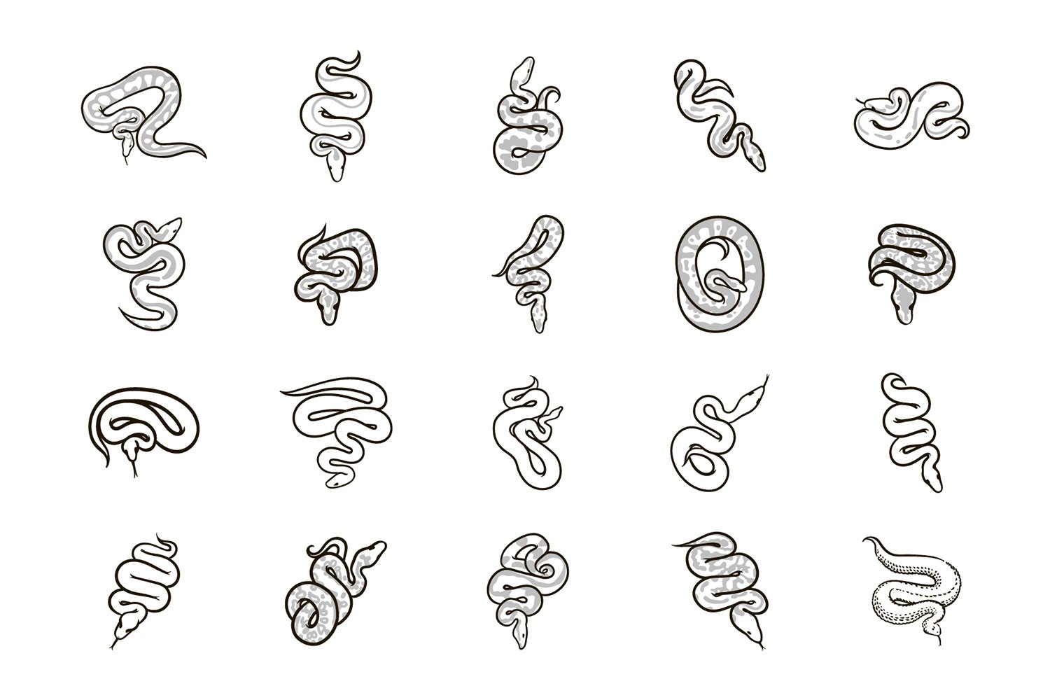 Set of hand-drawn images of wild snakes.