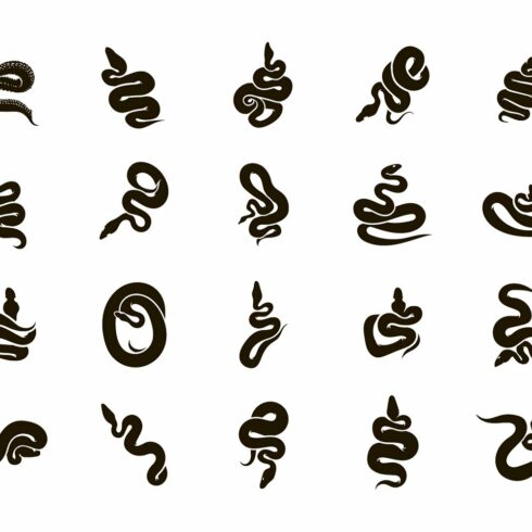 Snakes Illustration Set. Colored, Line And Silhouette Styles ...