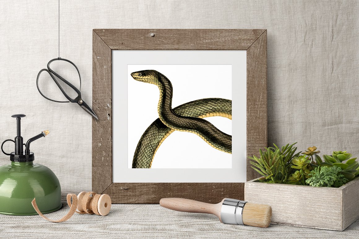 Painting in a wooden frame depicting a colorful snake.