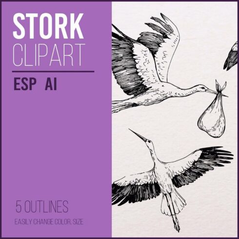 Stork vector clipart - main image preview.