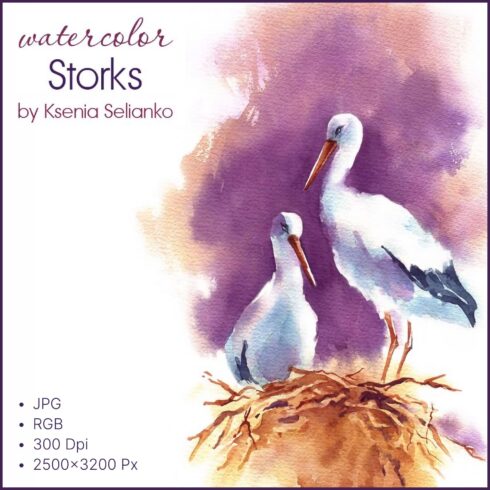 Storks - main image preview.