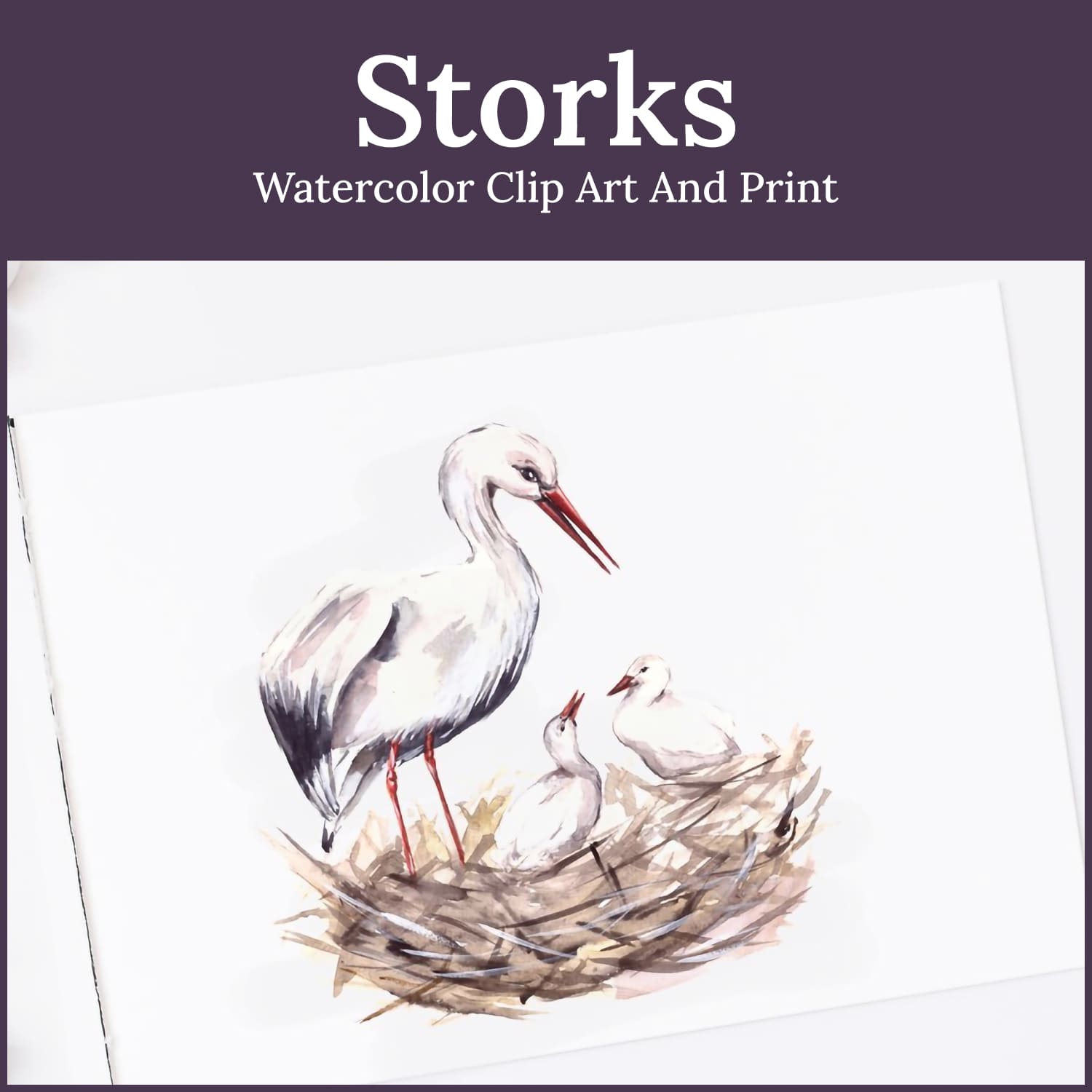stork bird clipart