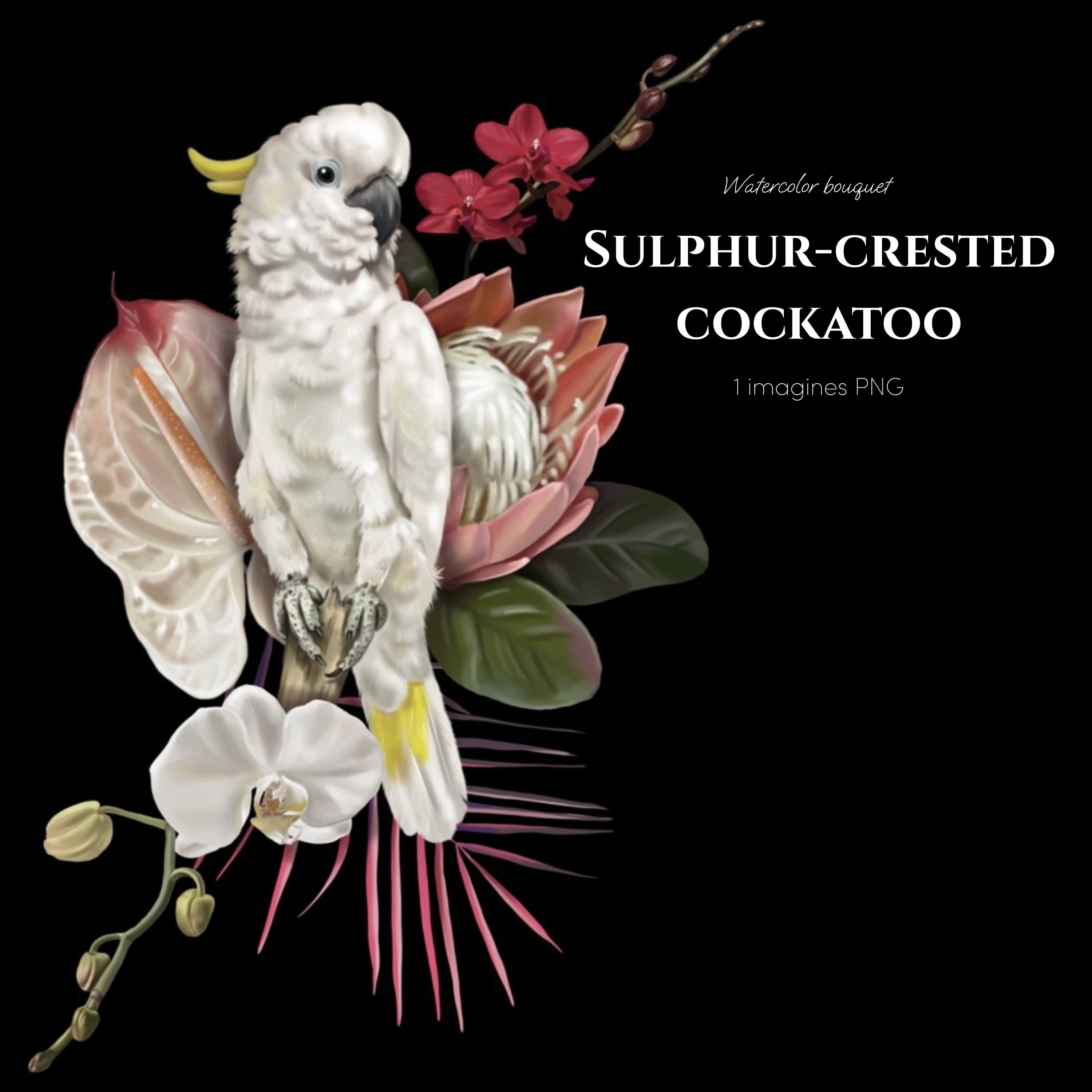 Sulphur-crested cockatoo Parrot, Watercolor bouquet clipart cover.